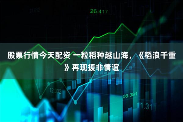 股票行情今天配资 一粒稻种越山海，《稻浪千重》再现援非情谊